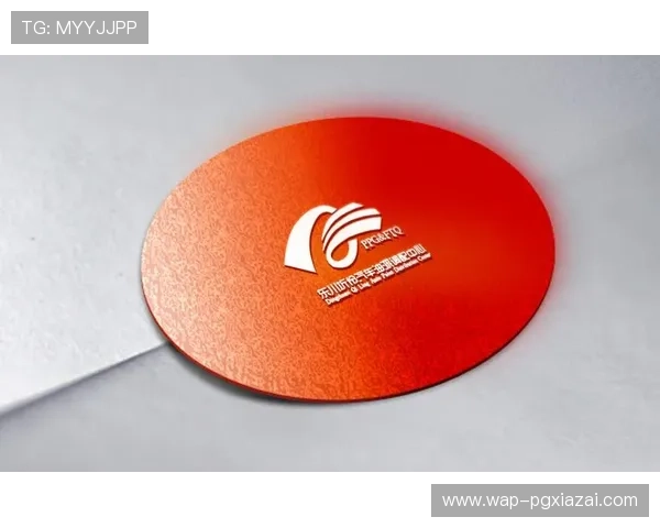 如何高效进行PG娱乐官网地址查询确保安全登录体验指南