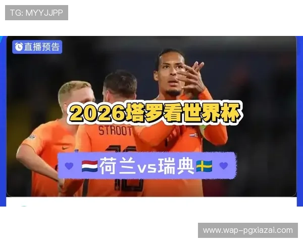 2026年世界杯荷兰VS瑞典比赛时间赛程安排及赛场精彩图片集锦